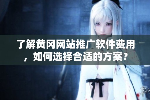 了解黄冈网站推广软件费用，如何选择合适的方案？