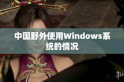 中国野外使用Windows系统的情况