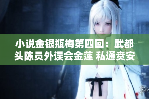 小说金银瓶梅第四回：武都头陈员外误会金莲 私通贲安部大老爷 重新讲述