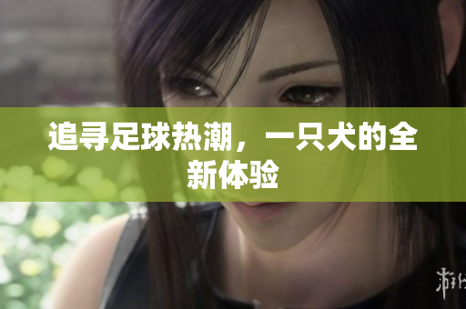 追寻足球热潮，一只犬的全新体验
