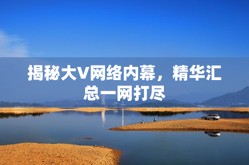 揭秘大V网络内幕，精华汇总一网打尽