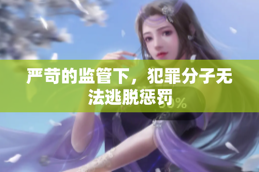 严苛的监管下，犯罪分子无法逃脱惩罚