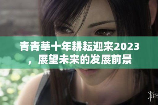 青青莘十年耕耘迎来2023，展望未来的发展前景