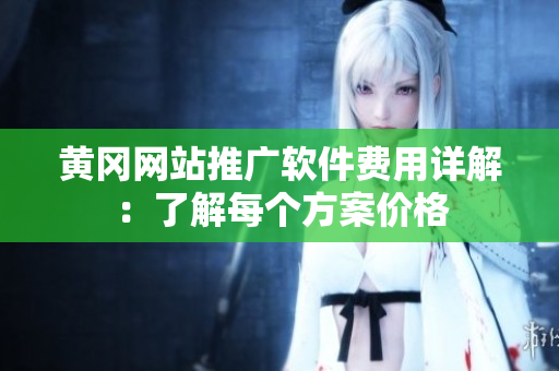 黄冈网站推广软件费用详解：了解每个方案价格