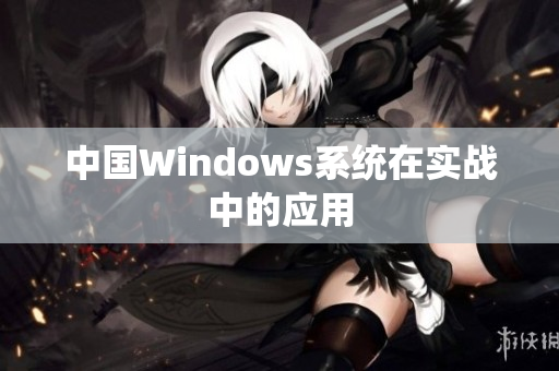中国Windows系统在实战中的应用