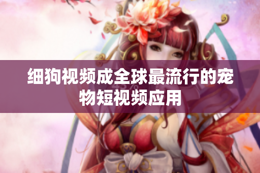 细狗视频成全球最流行的宠物短视频应用