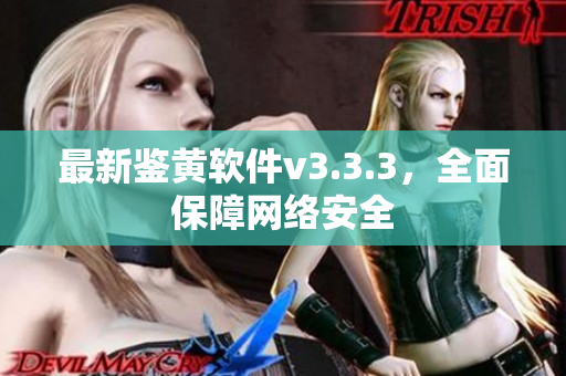 最新鉴黄软件v3.3.3，全面保障网络安全