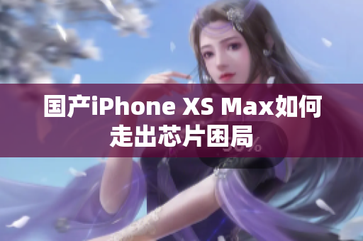 国产iPhone XS Max如何走出芯片困局