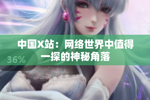 中国X站：网络世界中值得一探的神秘角落