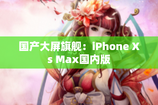 国产大屏旗舰：iPhone Xs Max国内版