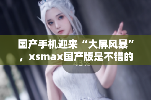 国产手机迎来“大屏风暴”，xsmax国产版是不错的选择