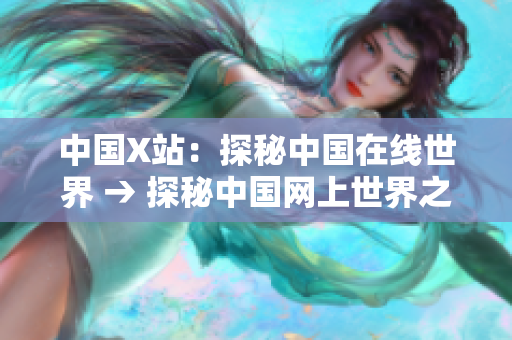 中国X站：探秘中国在线世界 → 探秘中国网上世界之X站探秘