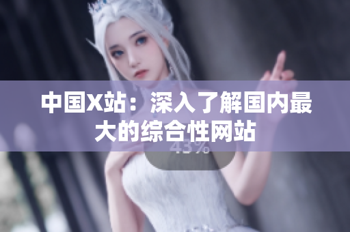 中国X站：深入了解国内最大的综合性网站