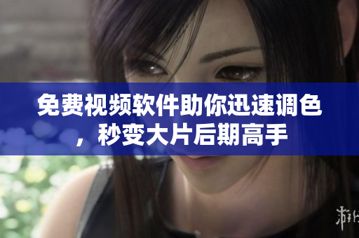 免费视频软件助你迅速调色，秒变大片后期高手