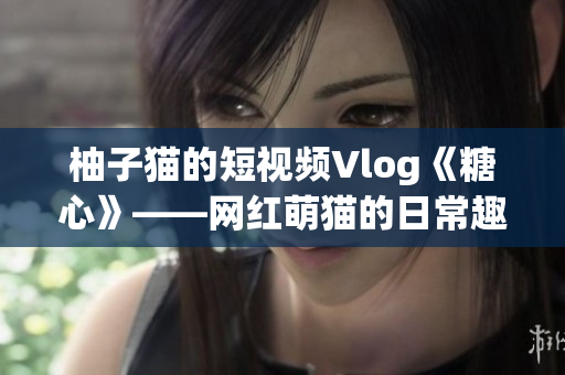柚子猫的短视频Vlog《糖心》——网红萌猫的日常趣事