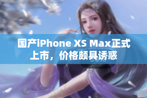 国产iPhone XS Max正式上市，价格颇具诱惑