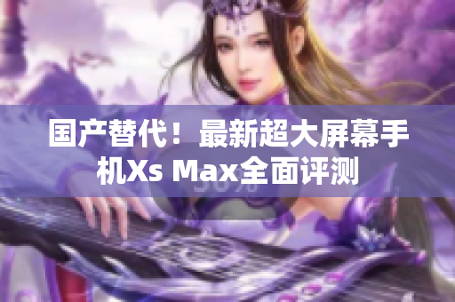国产替代！最新超大屏幕手机Xs Max全面评测