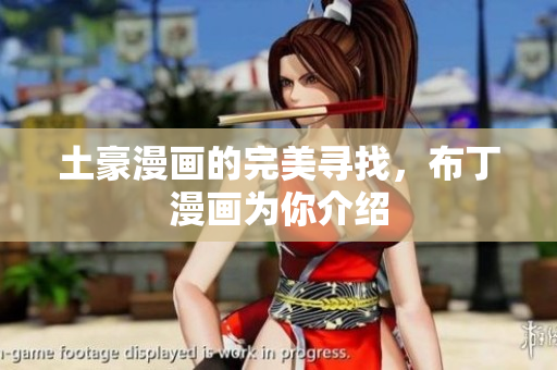 土豪漫画的完美寻找，布丁漫画为你介绍
