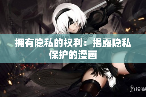 拥有隐私的权利：揭露隐私保护的漫画