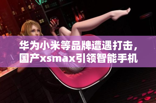 华为小米等品牌遭遇打击，国产xsmax引领智能手机市场