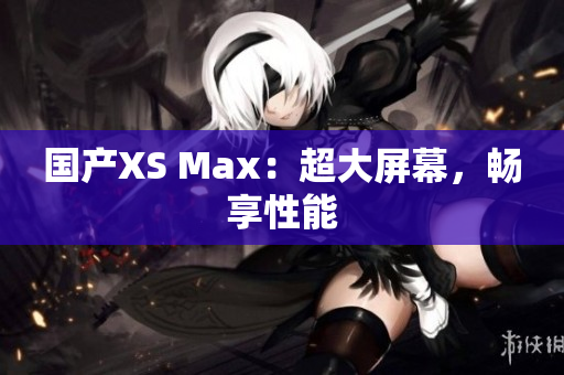 国产XS Max：超大屏幕，畅享性能
