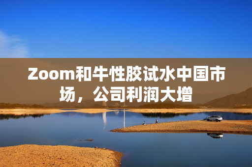 Zoom和牛性胶试水中国市场，公司利润大增