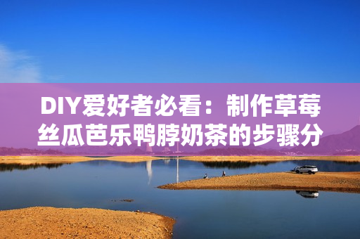 DIY爱好者必看：制作草莓丝瓜芭乐鸭脖奶茶的步骤分享