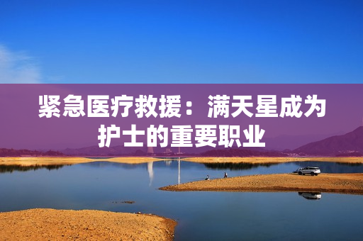 紧急医疗救援：满天星成为护士的重要职业