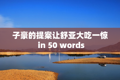 子豪的提案让舒亚大吃一惊 in 50 words