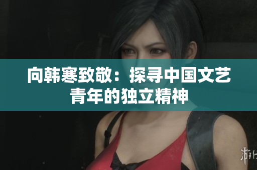 向韩寒致敬：探寻中国文艺青年的独立精神
