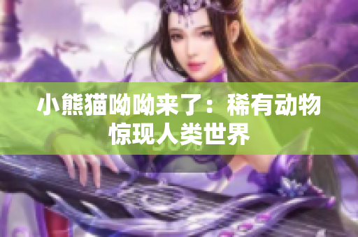 小熊猫呦呦来了：稀有动物惊现人类世界