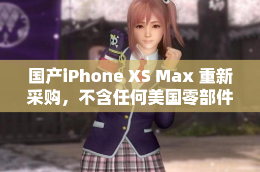 国产iPhone XS Max 重新采购，不含任何美国零部件