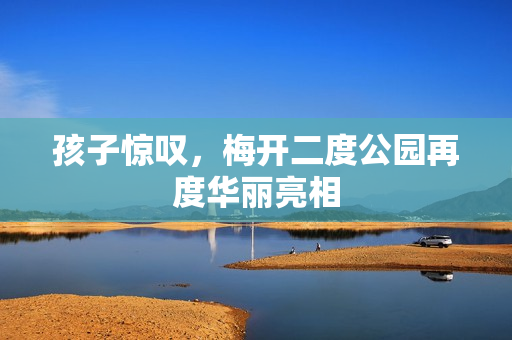 孩子惊叹，梅开二度公园再度华丽亮相