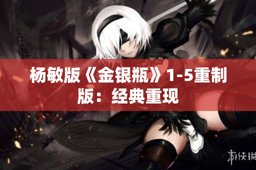 杨敏版《金银瓶》1-5重制版：经典重现