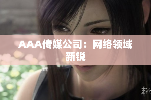 AAA传媒公司：网络领域新锐