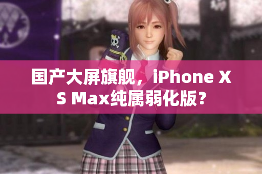 国产大屏旗舰，iPhone XS Max纯属弱化版？