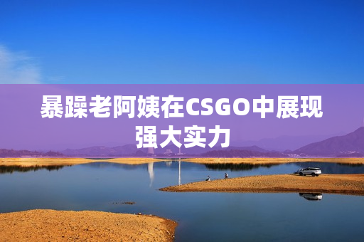 暴躁老阿姨在CSGO中展现强大实力