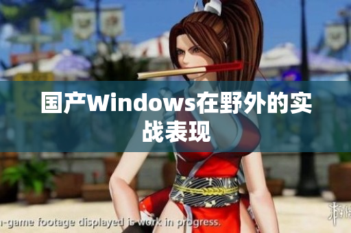 国产Windows在野外的实战表现