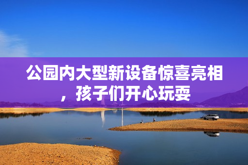 公园内大型新设备惊喜亮相，孩子们开心玩耍