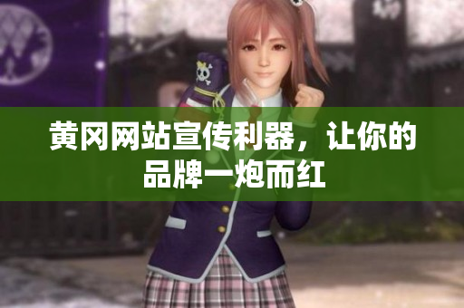 黄冈网站宣传利器，让你的品牌一炮而红