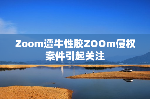 Zoom遭牛性胶ZOOm侵权案件引起关注