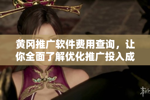 黄冈推广软件费用查询，让你全面了解优化推广投入成本