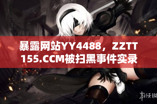 暴露网站YY4488，ZZTT155.CCM被扫黑事件实录