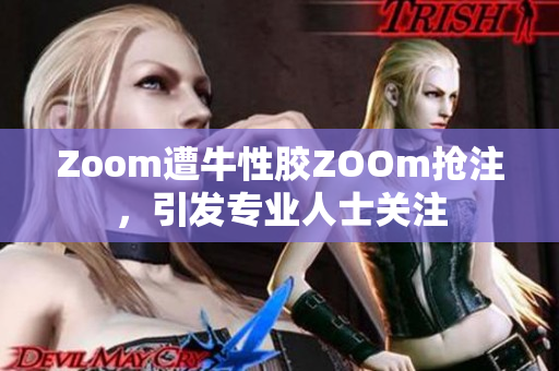Zoom遭牛性胶ZOOm抢注，引发专业人士关注