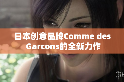 日本创意品牌Comme des Garcons的全新力作