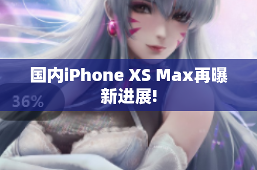 国内iPhone XS Max再曝新进展!
