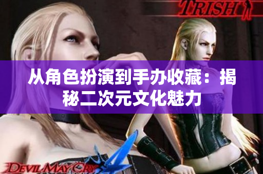 从角色扮演到手办收藏：揭秘二次元文化魅力