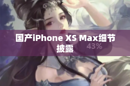 国产iPhone XS Max细节披露