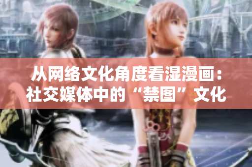 从网络文化角度看湿漫画：社交媒体中的“禁图”文化