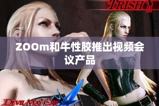ZOOm和牛性胶推出视频会议产品